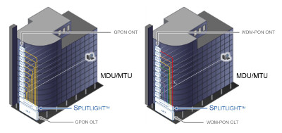 GPON and WDM-PON Diagram