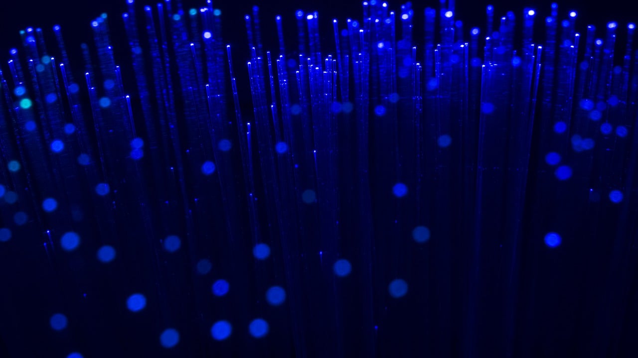 vivid-3079201_1280.jpg
